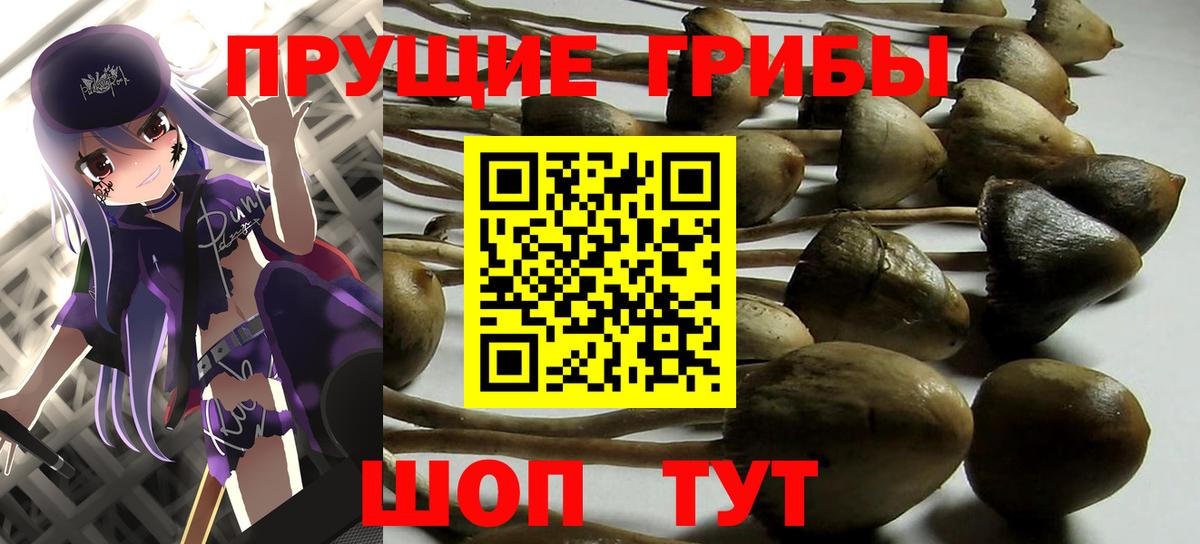А ПВП Малоярославец